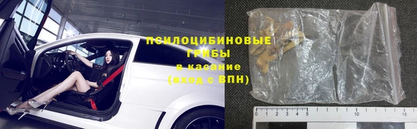 МДПВ Алексин