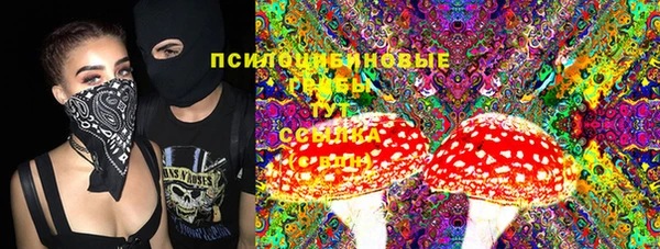 прущие крисы Алзамай