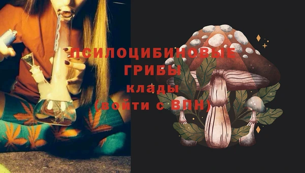 прущие крисы Алзамай