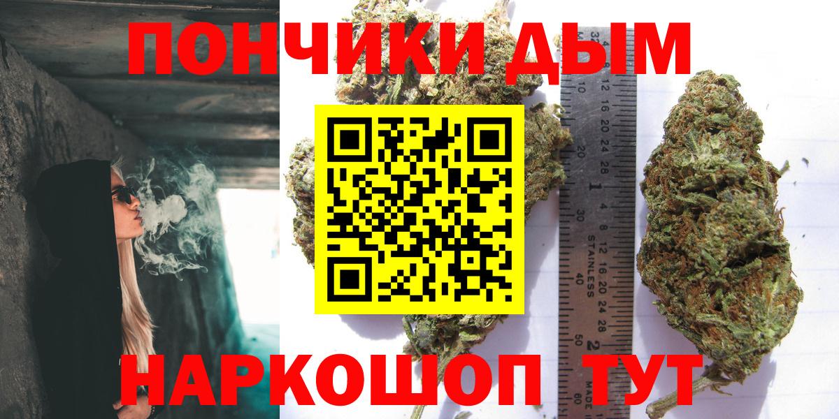 Канабис сатива  Конопля конопля  Вход с VPN  Канабис план  Пермь  Марихуана Ganja 
